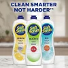 Dial Soft Scrub Bleach Liquid Cleanser, 36 Oz Bottle, Case Of 6