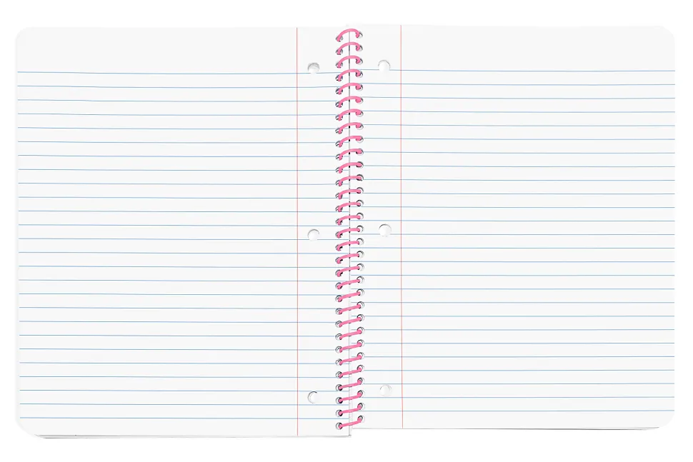 Disney Princess Single Subject Wide Ruled Notebook, 70 Sheets
