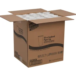 Dixie PerfecTouch 20 oz Insulated Paper Hot Coffee Cups by GP Pro, 5320CD, 500/PK