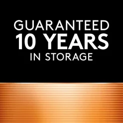 Duracell Rechargeable Ion Speed 4000 Battery Charger, Includes 2 AA and 2 AAA Rechargeable Batteries