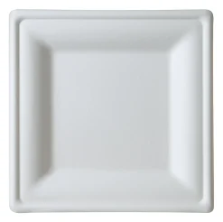 Eco-Products 10" Sugarcane Dinnerware Plates - Serving - Disposable - Microwave Safe - White - Sugarcane Body - 250 / Carton
