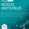 ESET NOD32 Antivirus 2025, 5 Devices, 1 YR Subscription, PC, Download