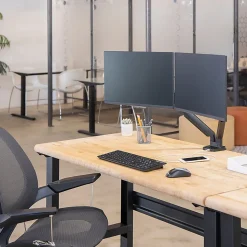 Fellowes® Platinum Series Dual Flat-Panel Monitor Arms