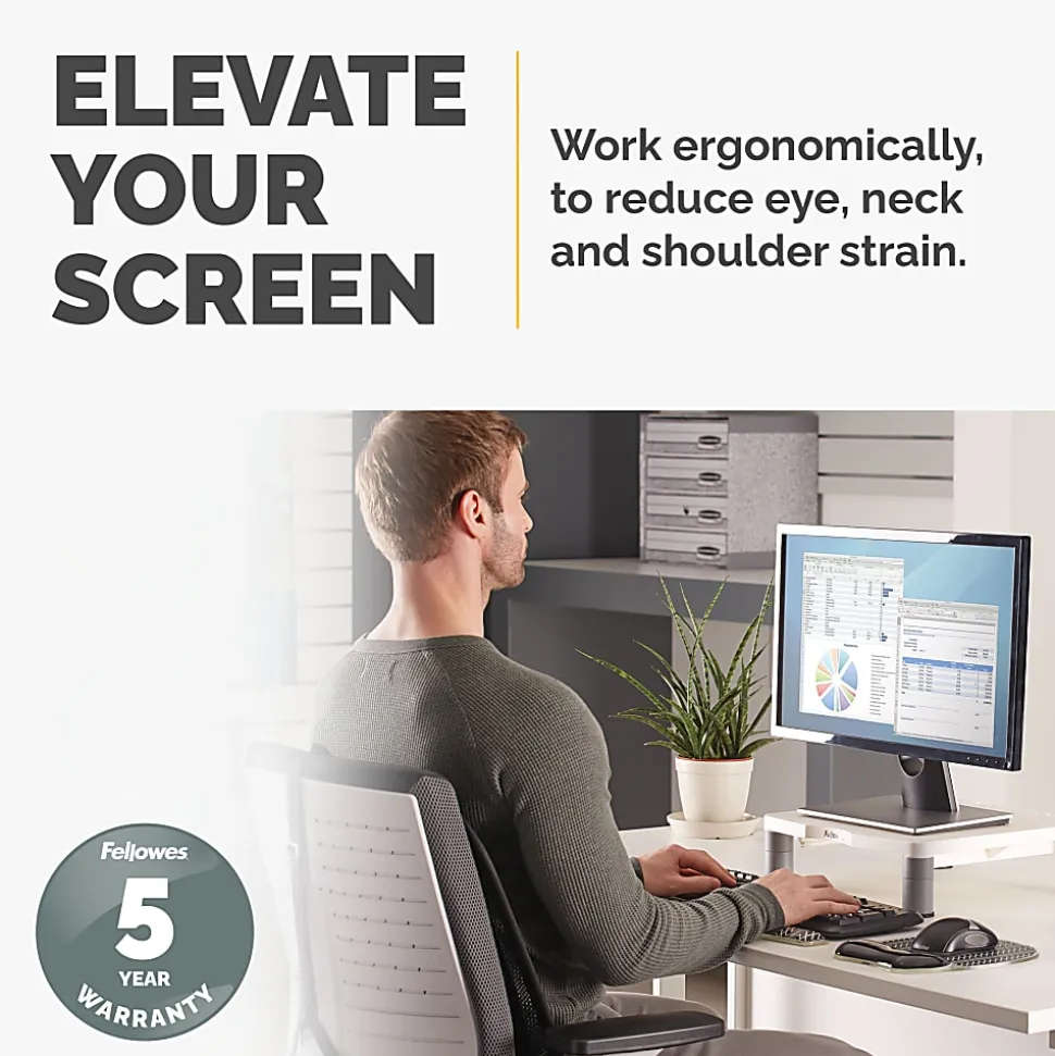 Fellowes® Standard Monitor Riser