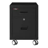 FireKing 18"W Vertical 2-Drawer Mobile Locking Fireproof File Cabinet, Metal, Black, Dock-to-Dock Delivery
