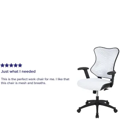 Flash Furniture Ergonomic Mesh High-Back Executive Office Chair, White