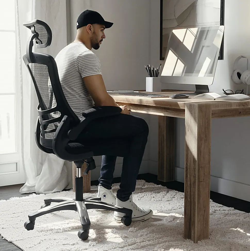 Flash Furniture Ergonomic Mesh High-Back Executive Office Chair, Black, BLX5H