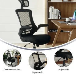 Flash Furniture Ergonomic Mesh High-Back Executive Office Chair, Black, BLX5H