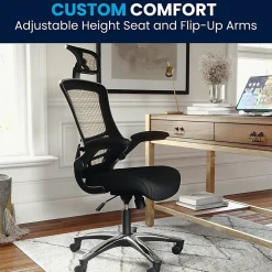 Flash Furniture Ergonomic Mesh High-Back Executive Office Chair, Black, BLX5H