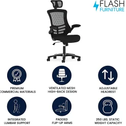 Flash Furniture Ergonomic Mesh High-Back Executive Office Chair, Black, BLX5H