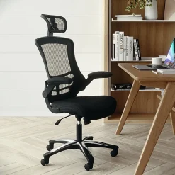 Flash Furniture Ergonomic Mesh High-Back Executive Office Chair, Black, BLX5H