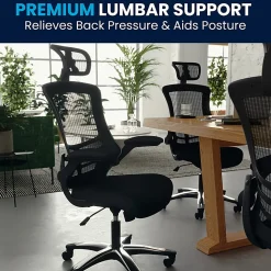 Flash Furniture Ergonomic Mesh High-Back Executive Office Chair, Black, BLX5H