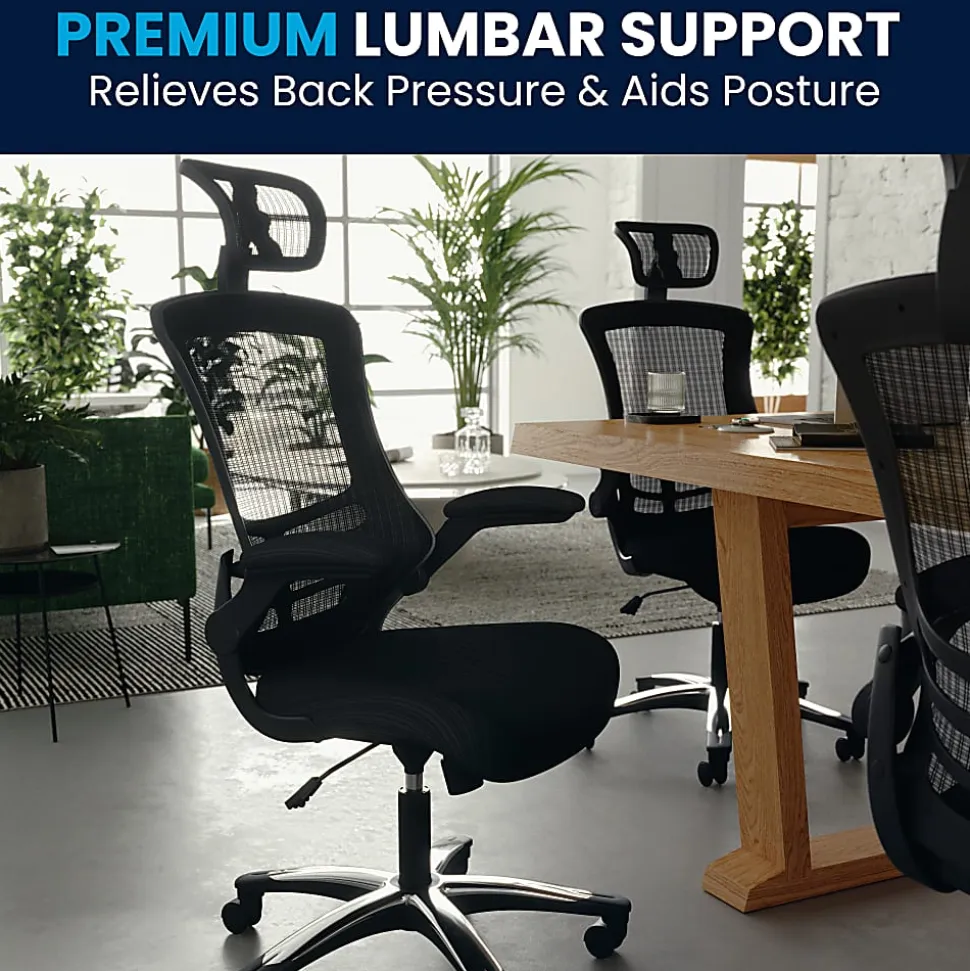 Flash Furniture Ergonomic Mesh High-Back Executive Office Chair, Black, BLX5H