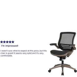 Flash Furniture Mesh Mid-Back Executive Office Chair, Black/Gold