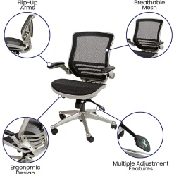 Flash Furniture Mesh Mid-Back Executive Office Chair, Black/Graphite Silver