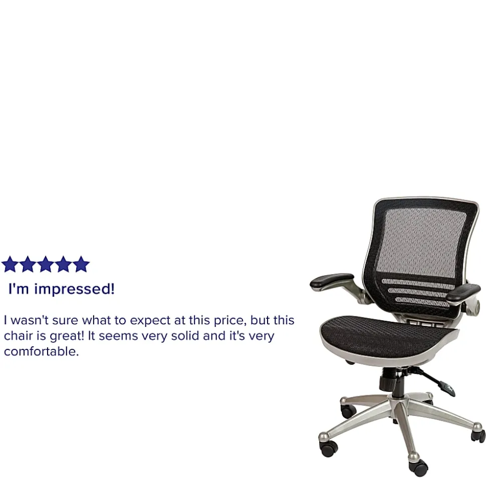 Flash Furniture Mesh Mid-Back Executive Office Chair, Black/Graphite Silver