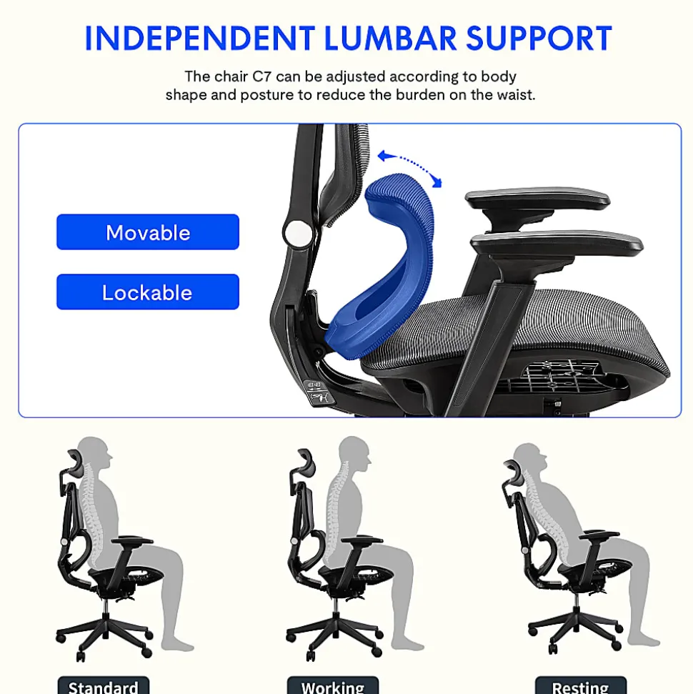 FlexiSpot C7 Ergonomic Mesh High-Back Office Chair, Black, C7BMESH