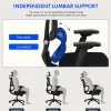 FlexiSpot C7 Ergonomic Mesh High-Back Office Chair, Black, C7BFOAM