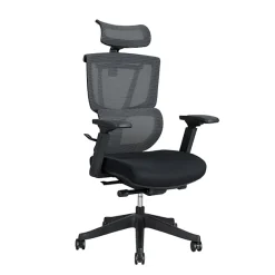 FlexiSpot C7 Ergonomic Mesh High-Back Office Chair, Black, C7BFOAM
