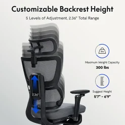FlexiSpot C7 MAX Ergonomic Foam Seat, Office Chair, Gray color