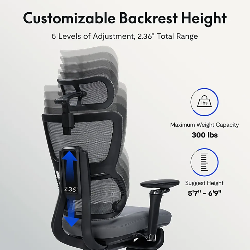 FlexiSpot C7 MAX Ergonomic Foam Seat, Office Chair, Gray color