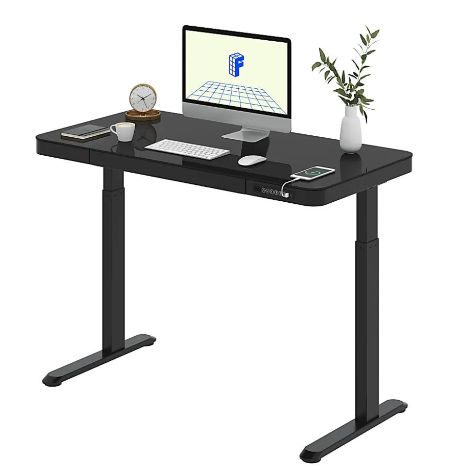 Flexispot EG9 48"W Electric Adjustable Height Standing Desk, Black