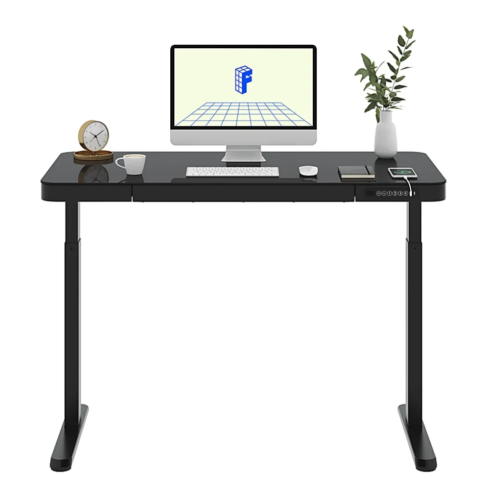 Flexispot EG9 48"W Electric Adjustable Height Standing Desk, Black