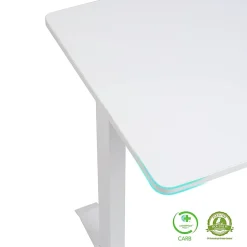 FlexiSpot E9 Quick-Install Metal Electric 48