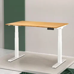 FlexiSpot E7 55