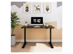 FlexiSpot Vici Electric 48