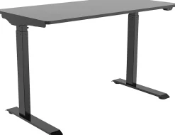 FlexiSpot Vici Electric 48