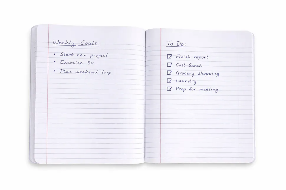 Gartner Studios Composition Notebook, 7-1/2" x 9-3/4," College Ruled, 100 Sheets, Pink Cat