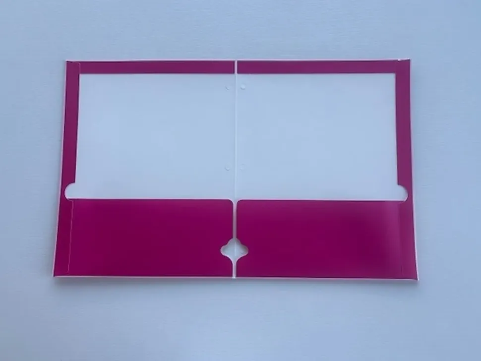 Gartner Studios Dual Pocket Folder, 9-1/4" x 11-1/2", Pink Cat