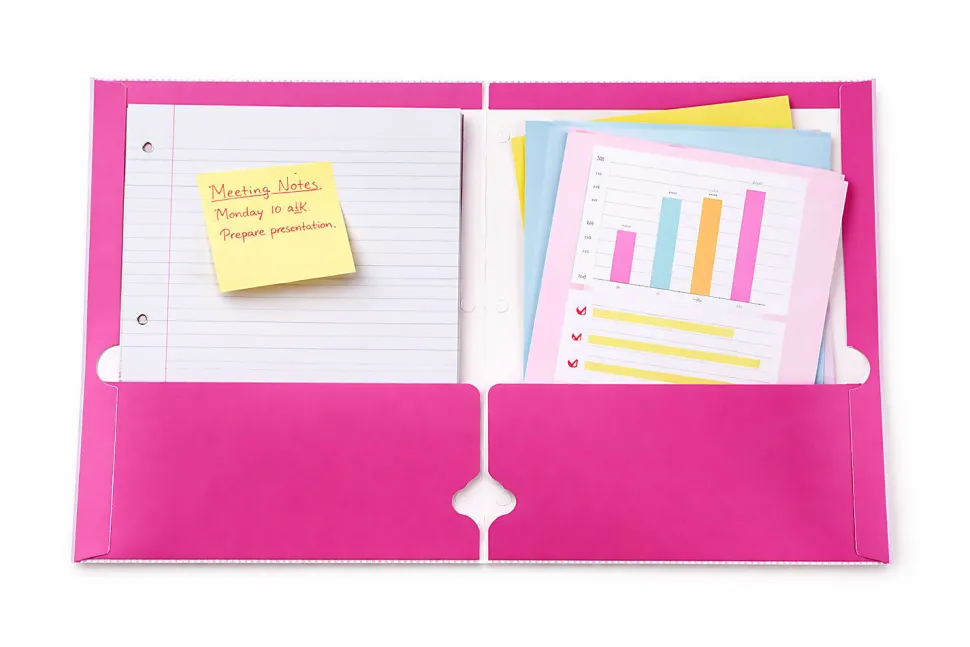 Gartner Studios Dual Pocket Folder, 9-1/4" x 11-1/2", Pink Cat