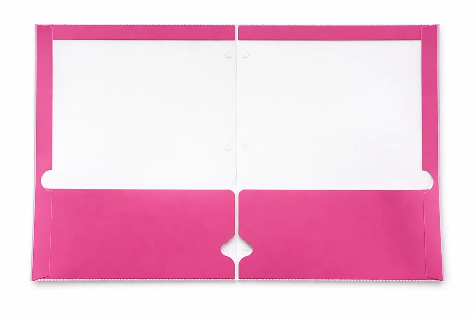 Gartner Studios Dual Pocket Folder, 9-1/4" x 11-1/2", Pink Floral