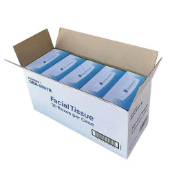 GEN Facial Tissue, 2-Ply, White, Flat Box, 100 Sheets/Box, 30 Boxes/Carton