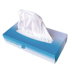 GEN Facial Tissue, 2-Ply, White, Flat Box, 100 Sheets/Box, 30 Boxes/Carton