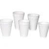 Genuine Joe Hot/Cold Foam Cups, 16 Oz, White, Carton Of 500 Cups