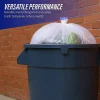 Genuine Joe 0.6 mil Trash Bags, 0.6 mil, 60 gal, 38"H x 58"W, Clear, 100 Bags
