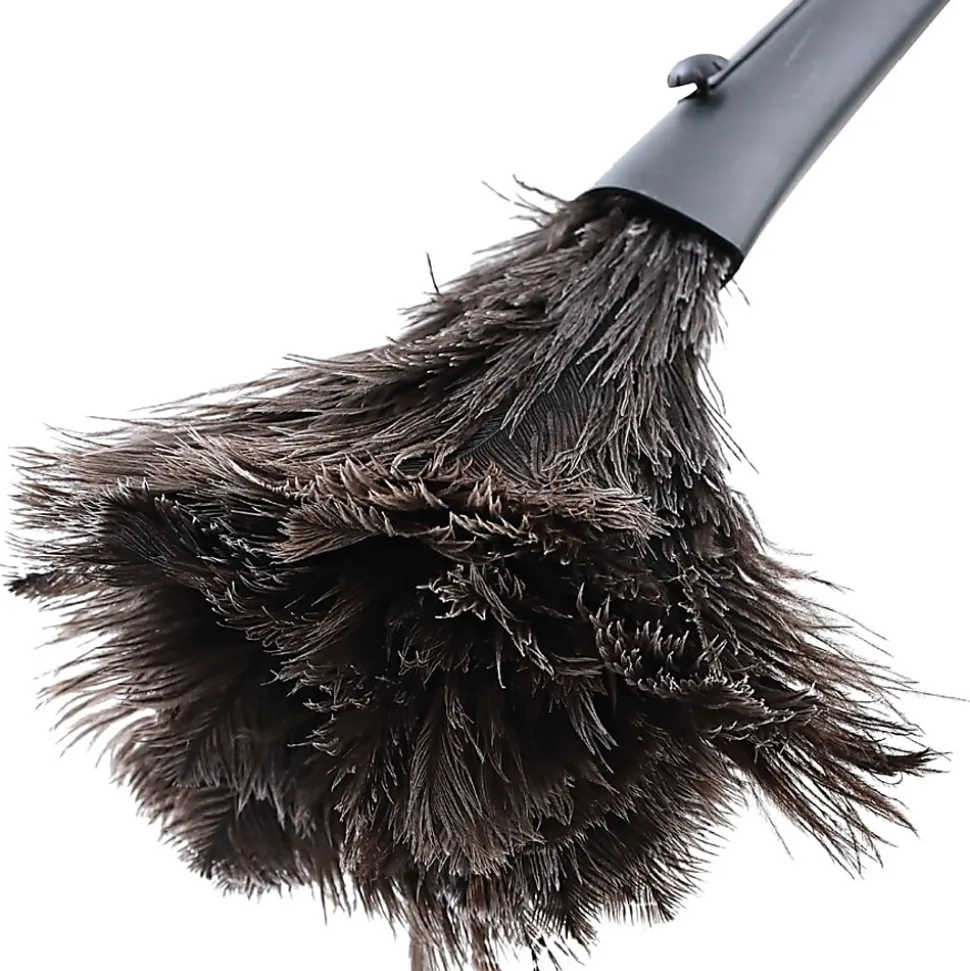Genuine Joe Retractable Feather Duster - Plastic Handle - Brown - 1 Each