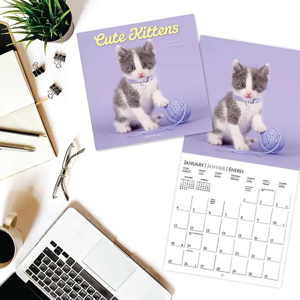 2026 Graphique Animals Monthly Wall Calendar, 12" x 12", Cute Kittens, January To December, CY97626