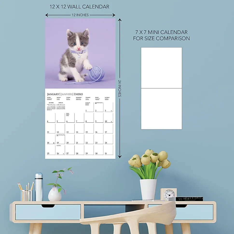 2026 Graphique Animals Monthly Wall Calendar, 12" x 12", Cute Kittens, January To December, CY97626