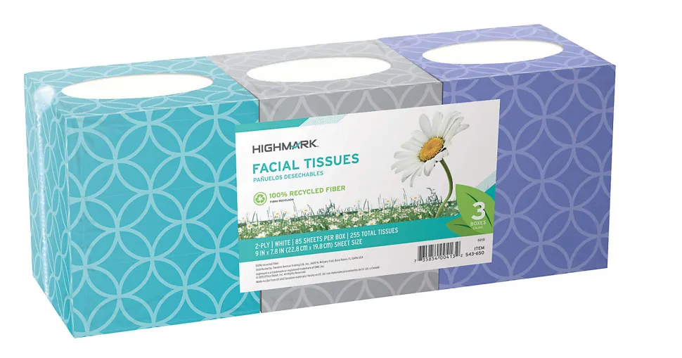 Highmark® ECO 2-Ply Facial Tissue, 100% Recycled, White, 85 Tissues Per Box, Pack Of 3 Boxes