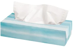 Highmark® 2-Ply Facial Tissue, Flat Box, White, 100 Tissues Per Box, Case Of 30 Boxes