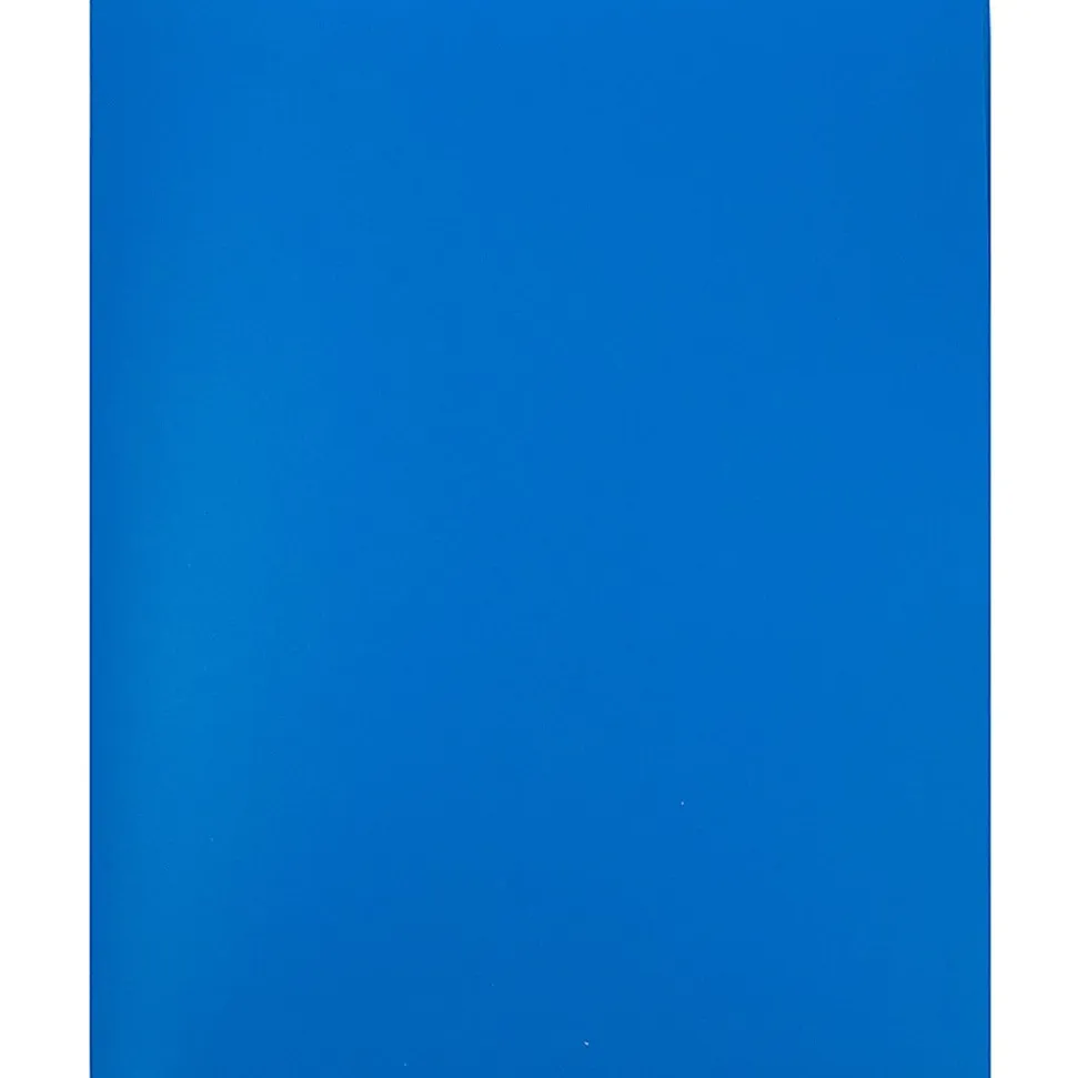 JAM Paper® Heavy Duty 4-Pocket Plastic Folders, 9 1/2" x 11 5/8", Blue, Pack Of 2