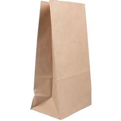 JAM Paper® Kraft Lunch Bags, Large, 11 x 6 x 3 3/4, Brown, Pack Of 25 Bags
