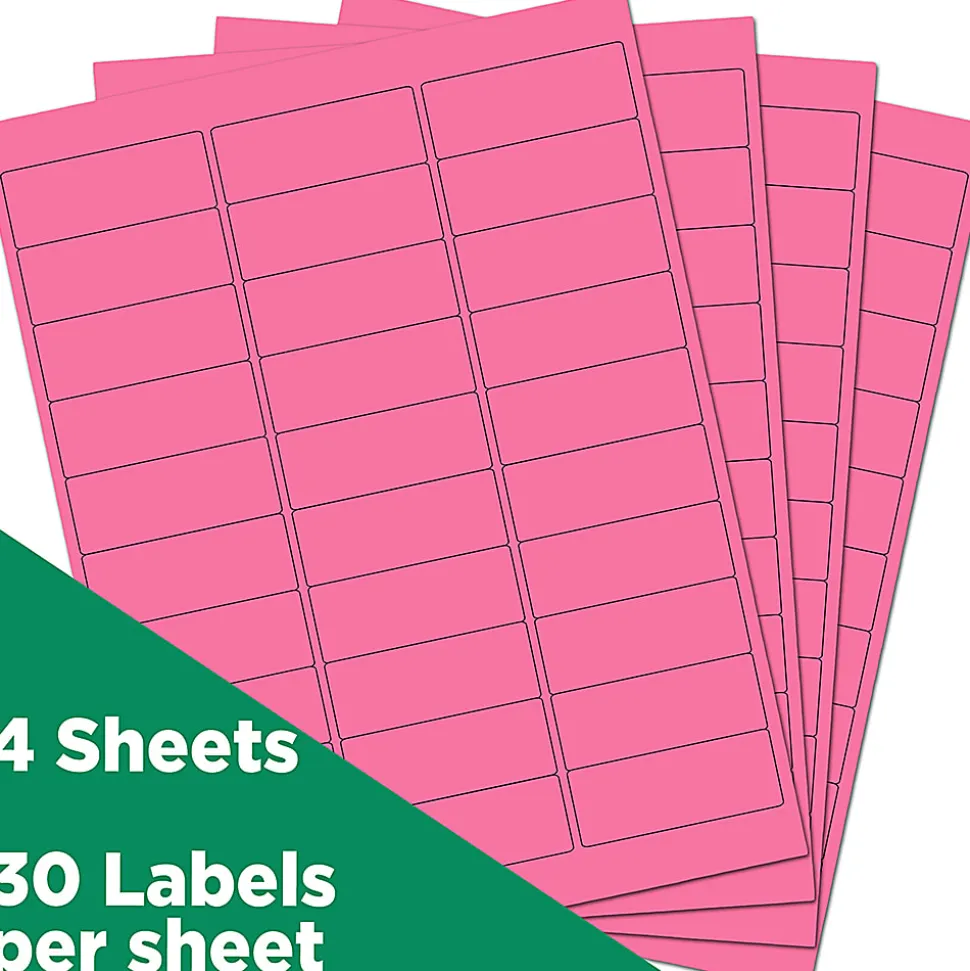 JAM Paper® Mailing Address Labels, Rectangle, 2 5/8" x 1", Pink, Pack Of 120