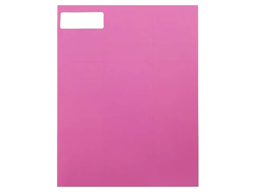 JAM Paper® Mailing Address Labels, Rectangle, 2 5/8" x 1", Pink, Pack Of 120