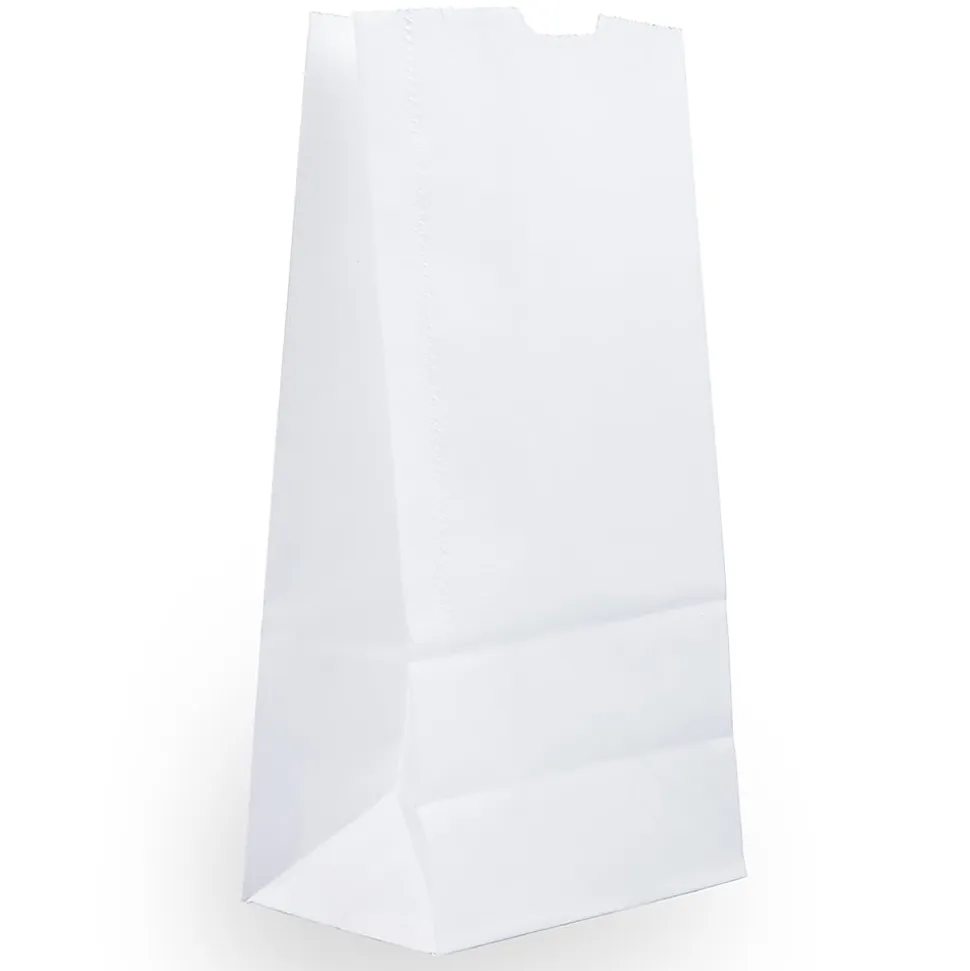 JAM Paper® Medium Kraft Lunch Bags, 9 3/4 x 5 x 3, White, Pack Of 25 Bags