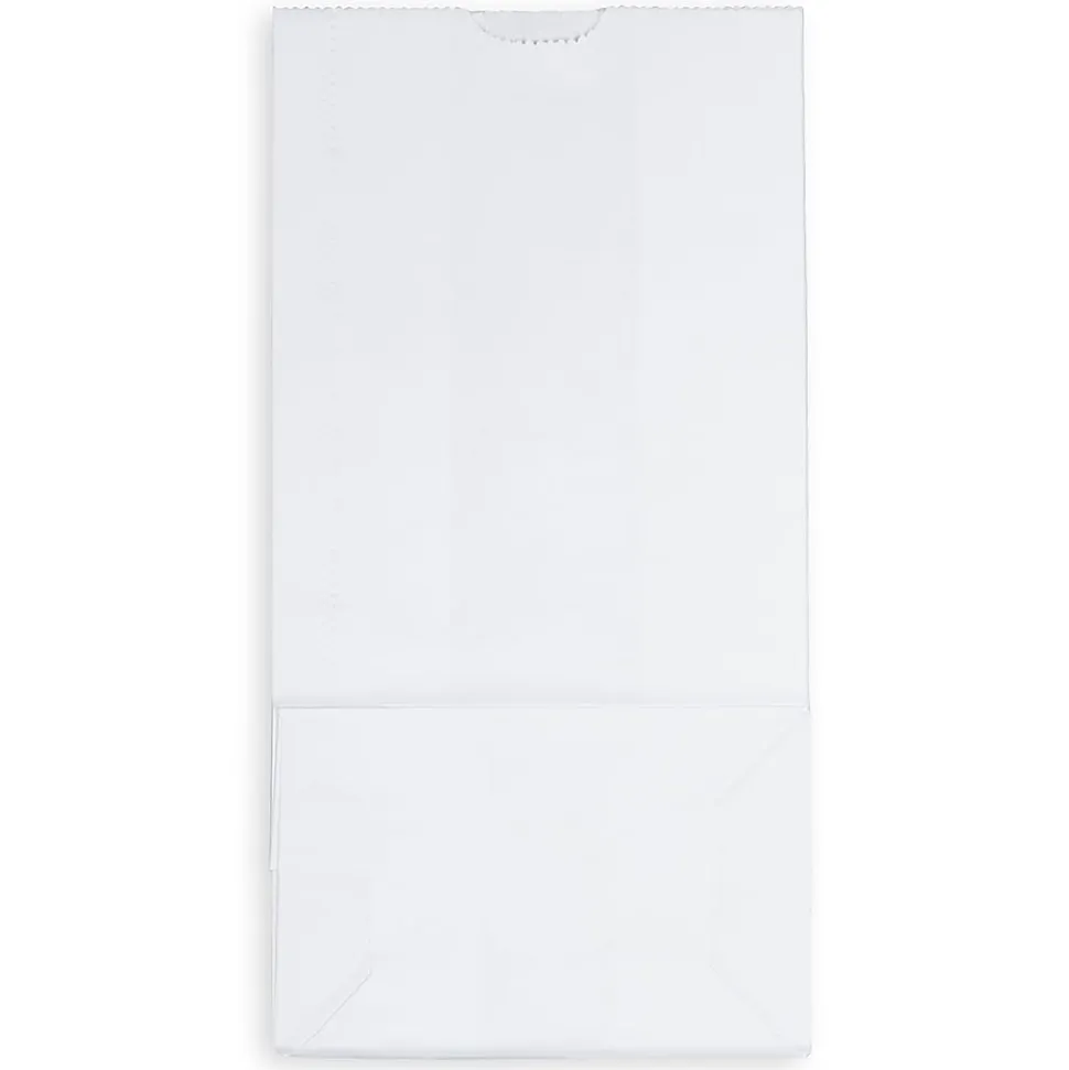 JAM Paper® Medium Kraft Lunch Bags, 9 3/4 x 5 x 3, White, Pack Of 25 Bags